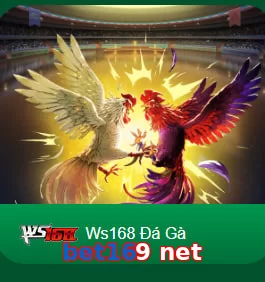 bet169 net